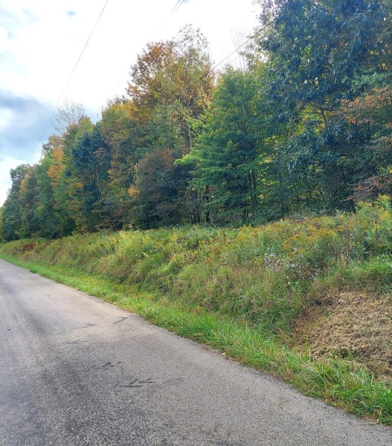 Forest Land For Sale In Pa